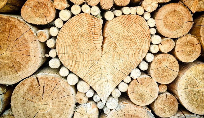 Photo of logs arranged in heart-shaped pattern to convey how much we love logging