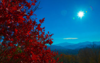 Fall's brilliant red leaves against the Blue Ridge Mountains on a sunny day with a bit of lens flare