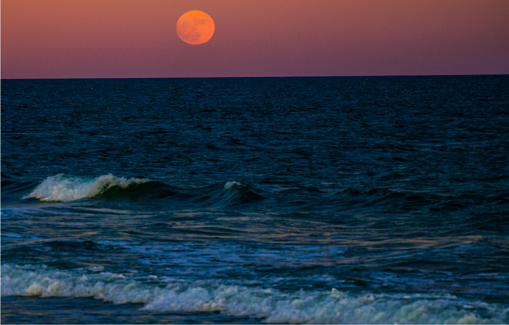 full moon over surf city - photo by Wayne Sumner 2019