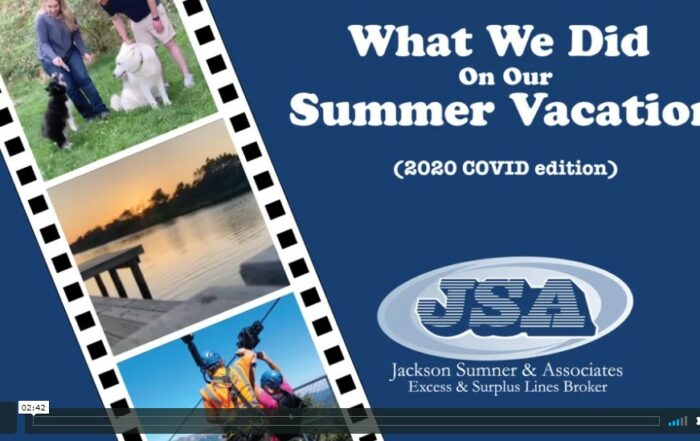 Summer Vacation Video Screenshot